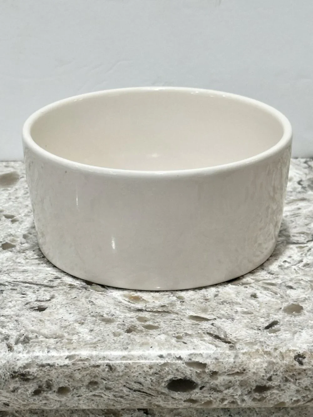 Rae Dunn by Magenta DEVOUR Dog Pet Food Water Bowl Artisan Collection 6 Inch
